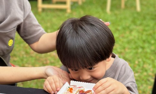 Rabbit Cookies Painting Workshop