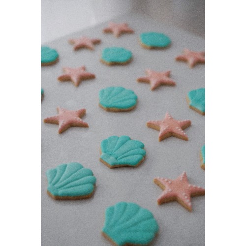 RIC 0015 Shell and Starfish Royal Icing Cookies Set