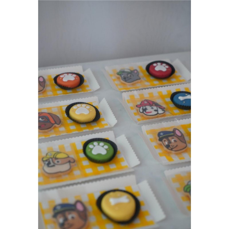 RIC 0016 Paw Patrol Royal Icing Cookies Set