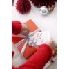 Christmas Dessert Platter Set TCS 1005